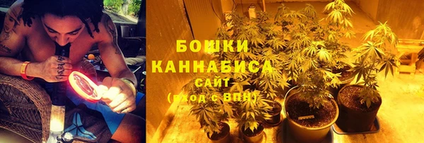 ECSTASY Пересвет