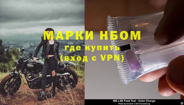 ECSTASY Пересвет
