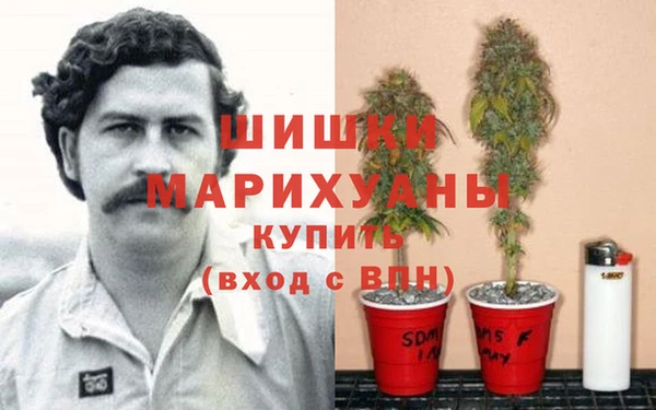 трава Пестово