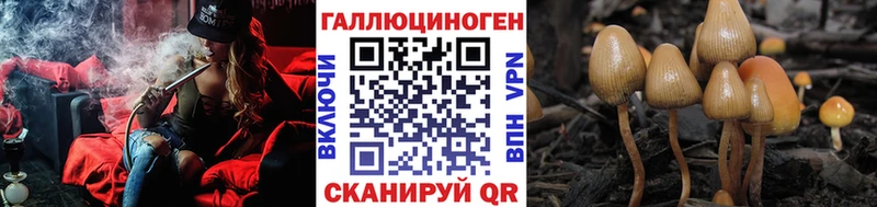 Псилоцибиновые грибы мухоморы  omg зеркало  Сольцы 